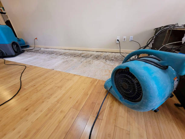Professional Basement Flood Cleanup technician working in Lyons, NJ